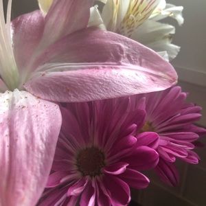 Meet your Posher, Tonya